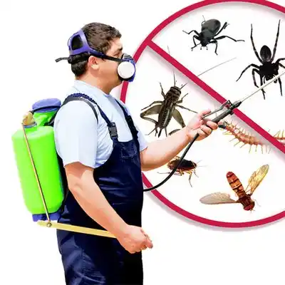 pest control Pasadena
